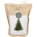 Grow Bag Weihnachtsbaum
