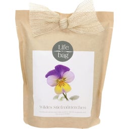 Grow Bag Stiefmütterchen