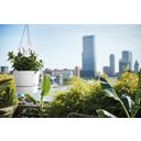 elho greenville Hanging Flowerpot 24 cm - White