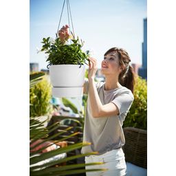 elho greenville Hanging Flowerpot 24 cm - White