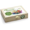 Nasiona roślin barwiących - Box S