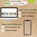 LOVEPLANTS Bio Gemüsesamen - 1 Set