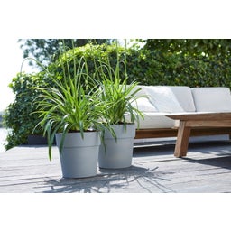 elho vibia Straight Round 47 cm - Hormigón vivo