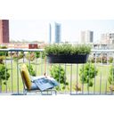 elho balkon support für barcelona 70&90 cm - anthrazit