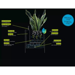 Lechuza CANTO Slatestone 40 low - temno siva