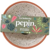 Bob&egrave;che pour Boutures de Plantes d'Int&eacute;rieur