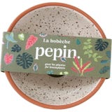 Pepin Bob&egrave;che for Houseplants