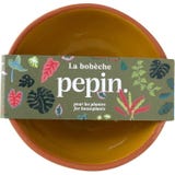 Bob&egrave;che pour fleurs - pripomoček za aranžiranje cvetja za sobne rastline