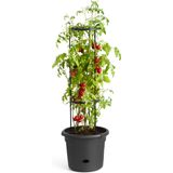 elho green basics tomaten pot 33 cm