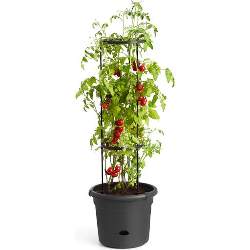 elho green basics tomato pot, 33 cm - nero