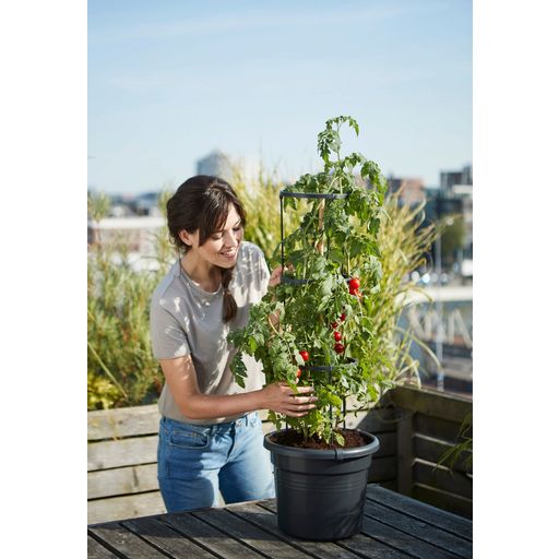 elho green basics tomaten pot 33 cm - zwart