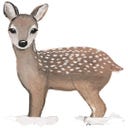 Eulenschnitt Postcard - Deer