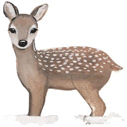 Eulenschnitt Cartolina - Cervo