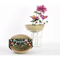 Beboche pour fleurs - Blumensteckhilfe für Blumen