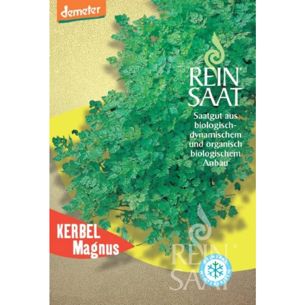 knstliche bambuspflanze Knstliche Bambuspflanze 150 cm  Tannendiele BlumenGut Dsseldorf