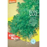 ReinSaat Kerbel "Magnus"