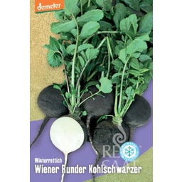 ReinSaat Ravanello - Wiener Runder Kohlschwarzer - 1 conf.