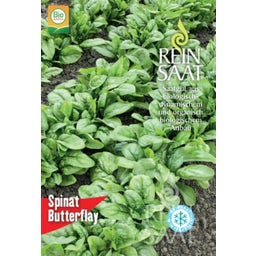 ReinSaat Spinat 