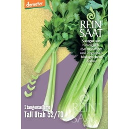 ReinSaat Stangensellerie 