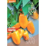 ReinSaat Snackpaprika "Amorino"