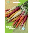 ReinSaat Carrot Carousel - 1 Pkg