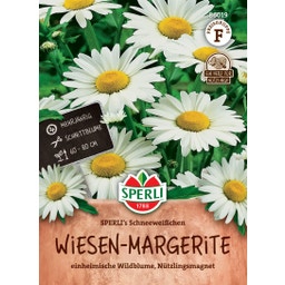 Wiesen-Margerite SPERLI's Schneeweißchen - 1 Pkg