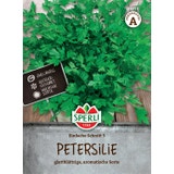 Sperli Petersilie Einfache Schnitt 3