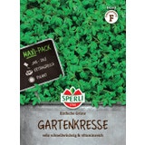Crescione - Einfache Grüne, MaxiPack 50 g