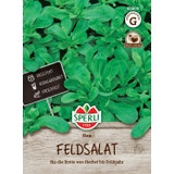 Sperli Lamb's Lettuce "Elan"