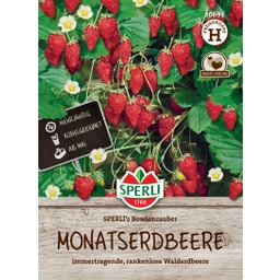 Monatserdbeere SPERLI's Bowlenzauber - 1 Pkg