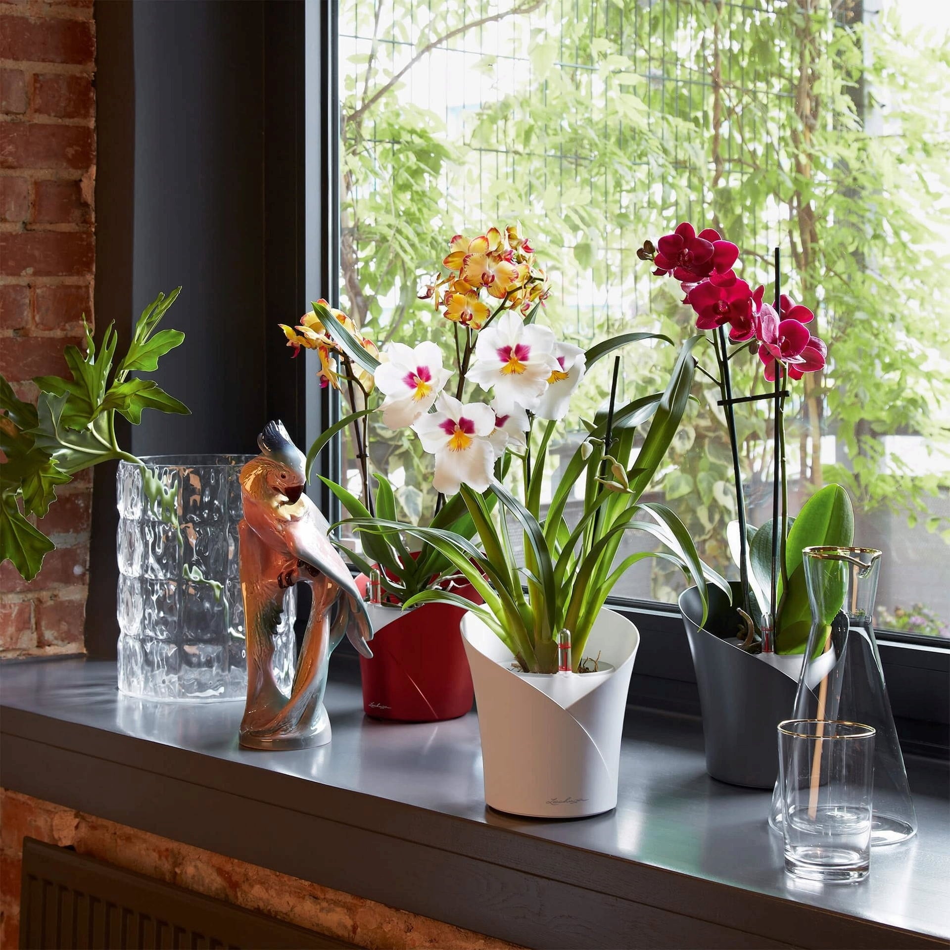Lechuza ORCHIDEA Table Pot