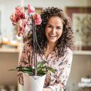 Lechuza ORCHIDEA asztali virágtartó