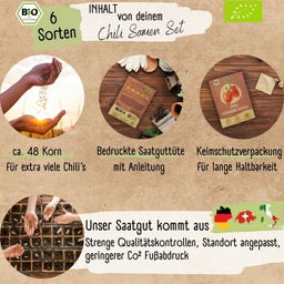 Loveplants Set de Graines Bio 