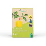 Andermatt Biogarten Rebell Amarillo Kreuzfallen - Set