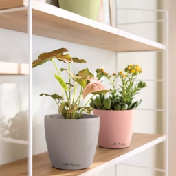 Lechuza DECO 18 Planter