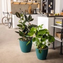 Lechuza DECO 18 Planter