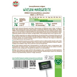 Wiesen-Margerite SPERLI's Schneeweißchen