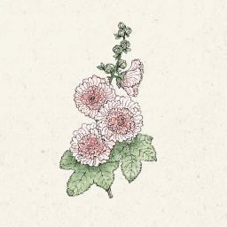 Jora Dahl Alcea rosea 