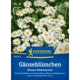 Kiepenkerl Common Daisy "Wiesen-Maßliebchen"
