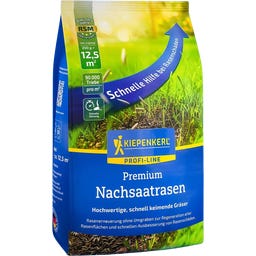 Kiepenkerl Profi-Line Premium Nachsaatrasen - 250 g