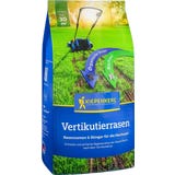 Kiepenkerl Verticuteermix