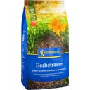 Kiepenkerl Herbstrasen - 1 Pkg
