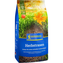 Kiepenkerl Herbstrasen - 1 Pkg