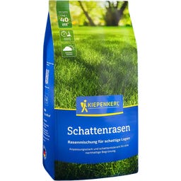 Kiepenkerl Schattenrasen - 1 Pkg