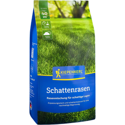 Kiepenkerl Schattenrasen - 1 Pkg