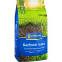 Kiepenkerl Nachsaatrasen - 1 kg