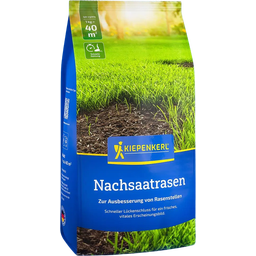 Kiepenkerl Prato per Trasemina - 1 kg