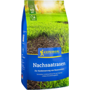 Kiepenkerl Nachsaatrasen - 1 kg