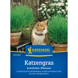 Kiepenkerl Katzengras Frischgrün Mischung - 1 Pkg