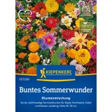 Kiepenkerl Blumenmischung Buntes Sommerwunder